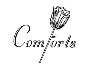 COMFORTS