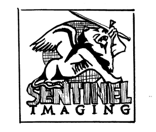 SENTINEL IMAGING