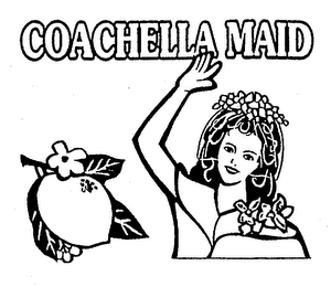 COACHELLA MAID