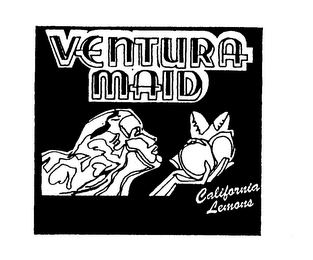 VENTURA MAID CALIFORNIA LEMONS