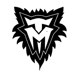 Minnesota Timberwolves Basketball