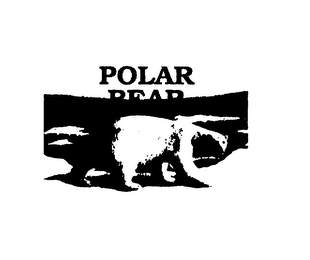 POLAR BEAR