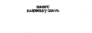 SUNSET RASPBERRY GUAVA