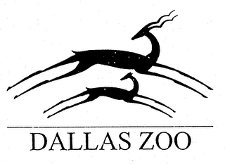 DALLAS ZOO