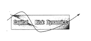 CAPITAL RISK DYNAMICS