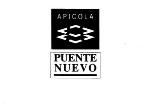 APICOLA PUENTE NUEVO