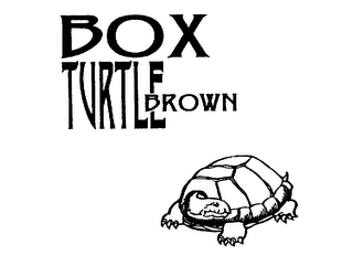 BOX TURTLE BROWN