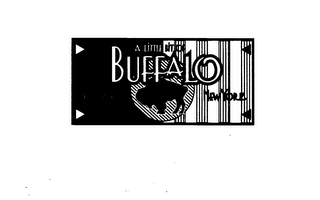 A LITTLE BIT OF BUFFALO NEW YORK