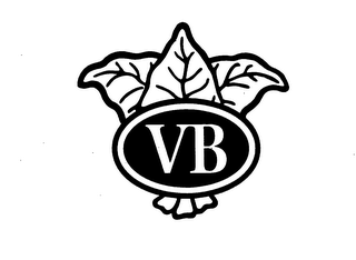 VB