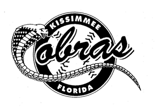 KISSIMMEE COBRAS FLORIDA