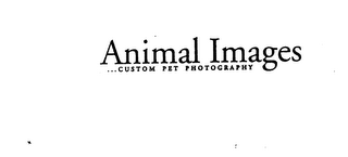 ANIMAL IMAGES...CUSTOM PET PHOTOGRAPHY