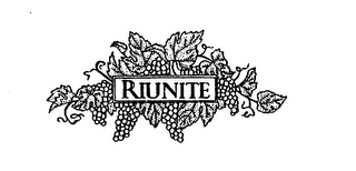 RIUNITE