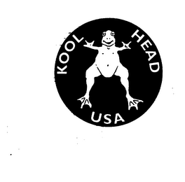KOOL HEAD USA