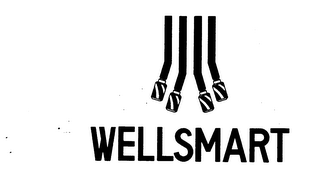 WELLSMART