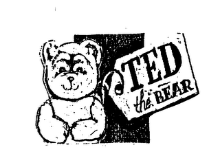 TED THE BEAR