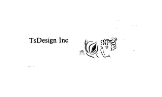 TSDESIGN INC