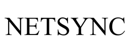 NETSYNC INTERNET SERVICES CORPORATION