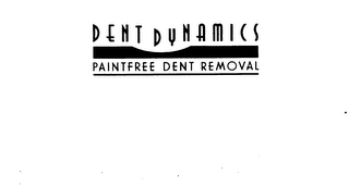 DENT DYNAMICS PAINTFREE DENT REMOVAL