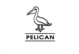 PELICAN