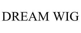 DREAM WIG