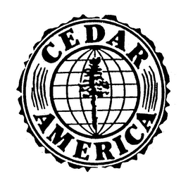 CEDAR AMERICA