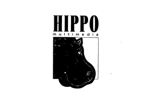 HIPPO MULTIMEDIA