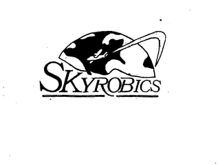 SKYROBICS