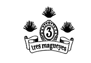 TRES MAGUEYES