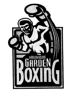 Integrated Payment Systems, Inc.