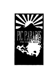 PIC PARADIS PREMIUM BEER