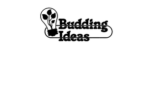 BUDDING IDEAS