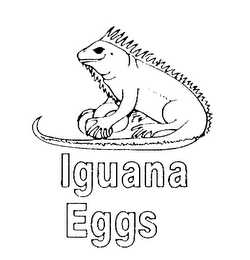 IGUANA EGGS