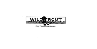 WILD TROUT JOURNAL FROM YELLOWSTONE COUNTRY