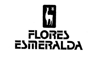 FLORES ESMERALDA