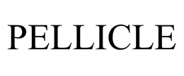 PELLICLE