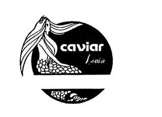 CAVIAR LOUISE