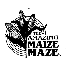 THE AMAZING MAIZE MAZE