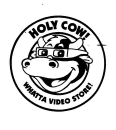 HOLY COW! WHATTA VIDEO STORE!