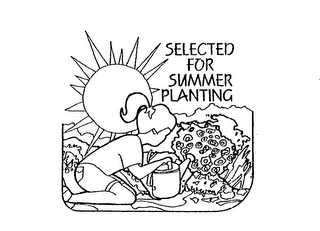 SELECTED FOR SUMMER PLANTING