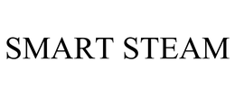 SMART STEAM