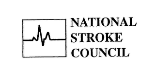 NATIONAL STROKE COUNCIL