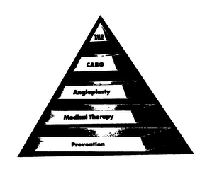 TMR CABG ANGIOPLASTY MEDICAL THERAPY PREVENTION