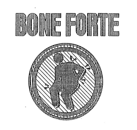 BONE FORTE