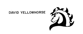 DAVID YELLOWHORSE