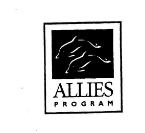 ALLIES PROGRAM