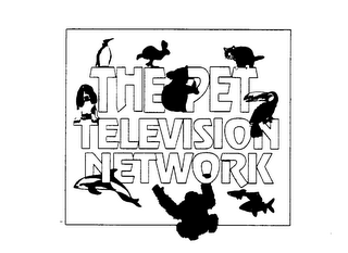 THE PET TELEVISION NETWORK