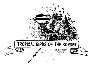 TROPICAL BIRDS OF THE BORDER