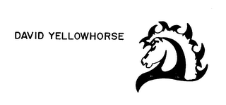 DAVID YELLOWHORSE