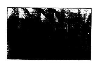 FIS OUTDOOR BOUTIQUE