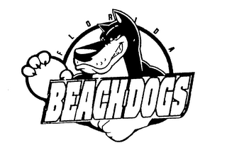 FLORIDA BEACHDOGS